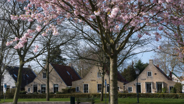 Schiermonnikoog in de lente