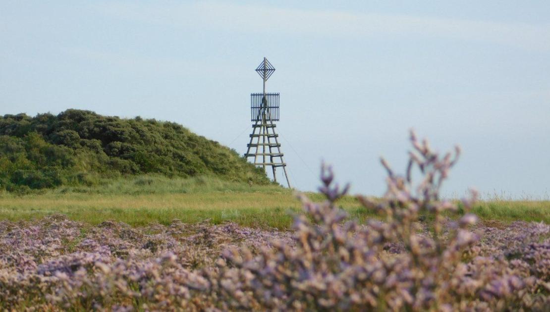 Willemsduin op Schiermonnikoog