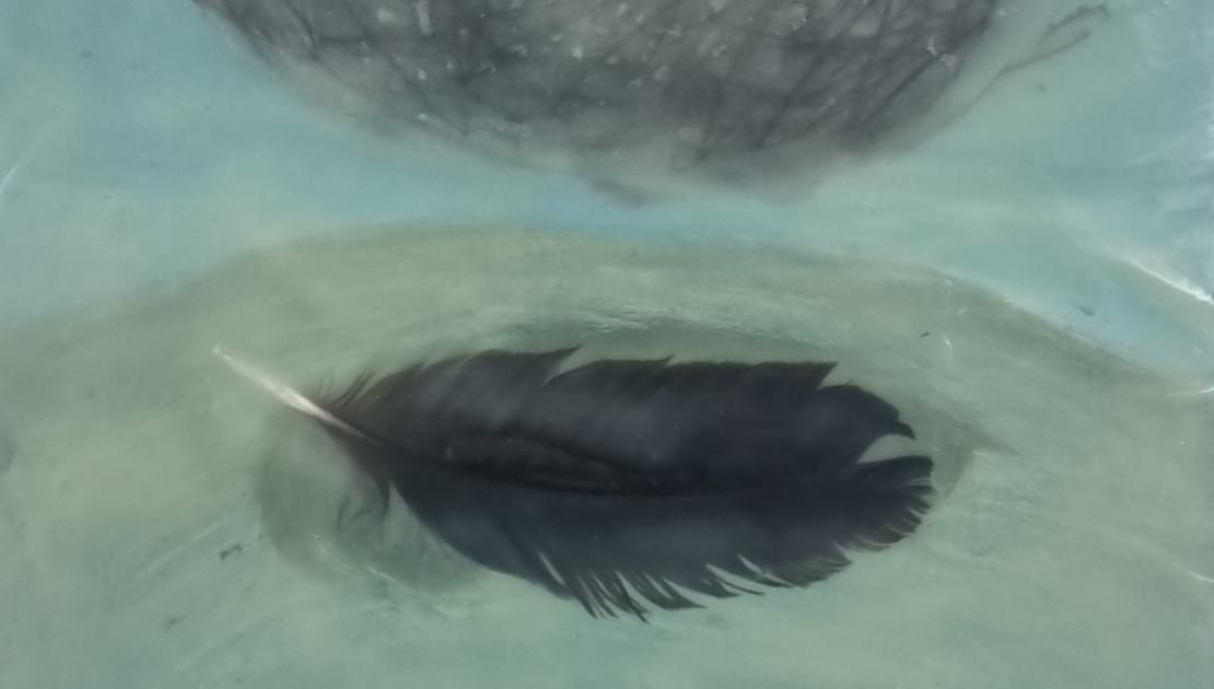 Theo Onnes op Schiermonnikoog aan het werk