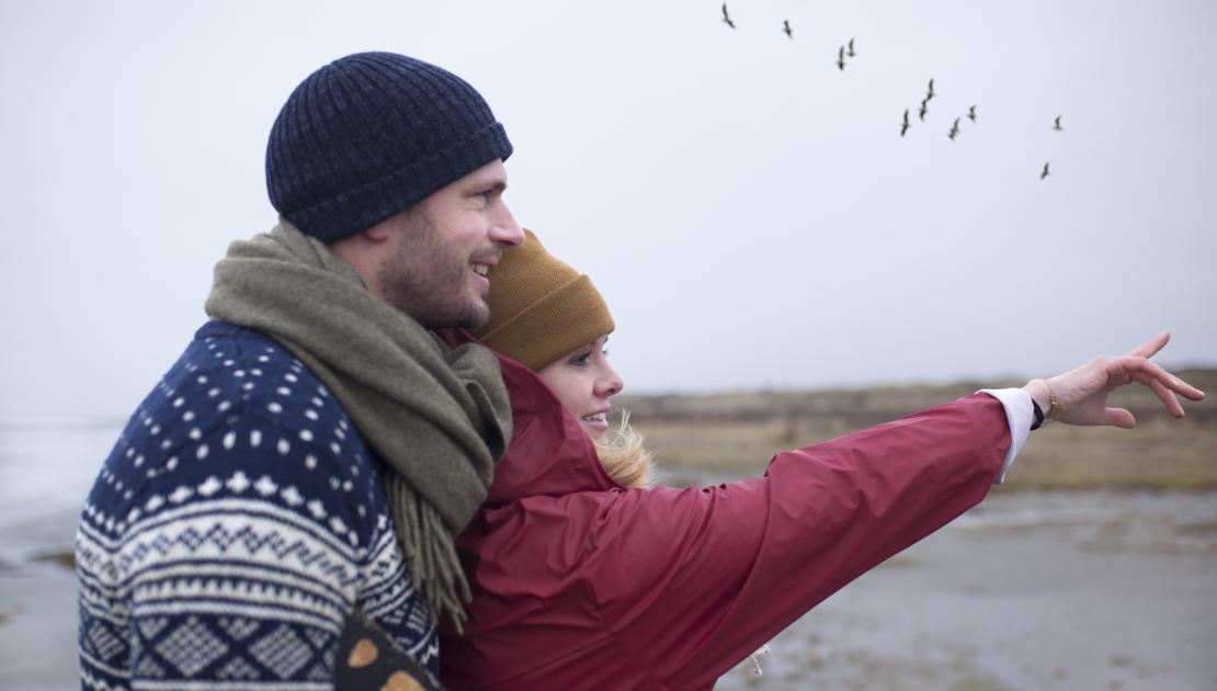 Vogels kijken Schiermonnikoog