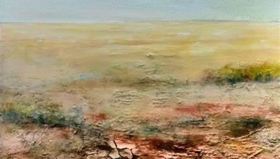 Vredenhof Schiermonnikoog