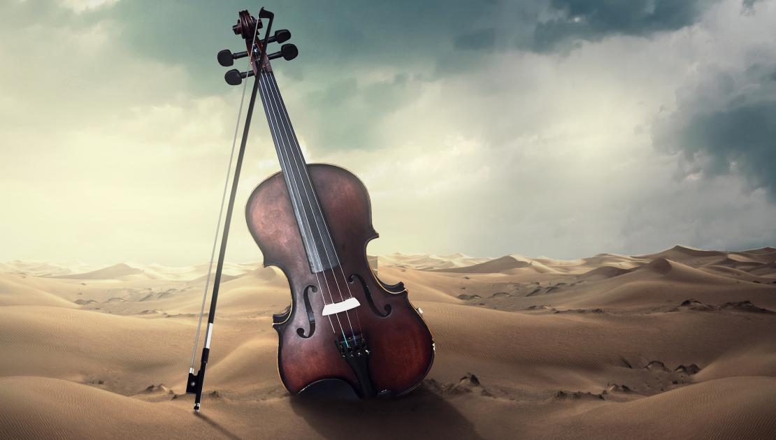 viool op strand (credits Kinkate Pixabay)