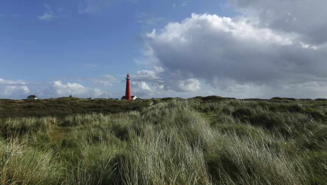 Bedrijven op Schiermonnikoog