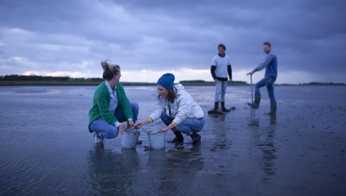 wadexcursie schiermonnikoog