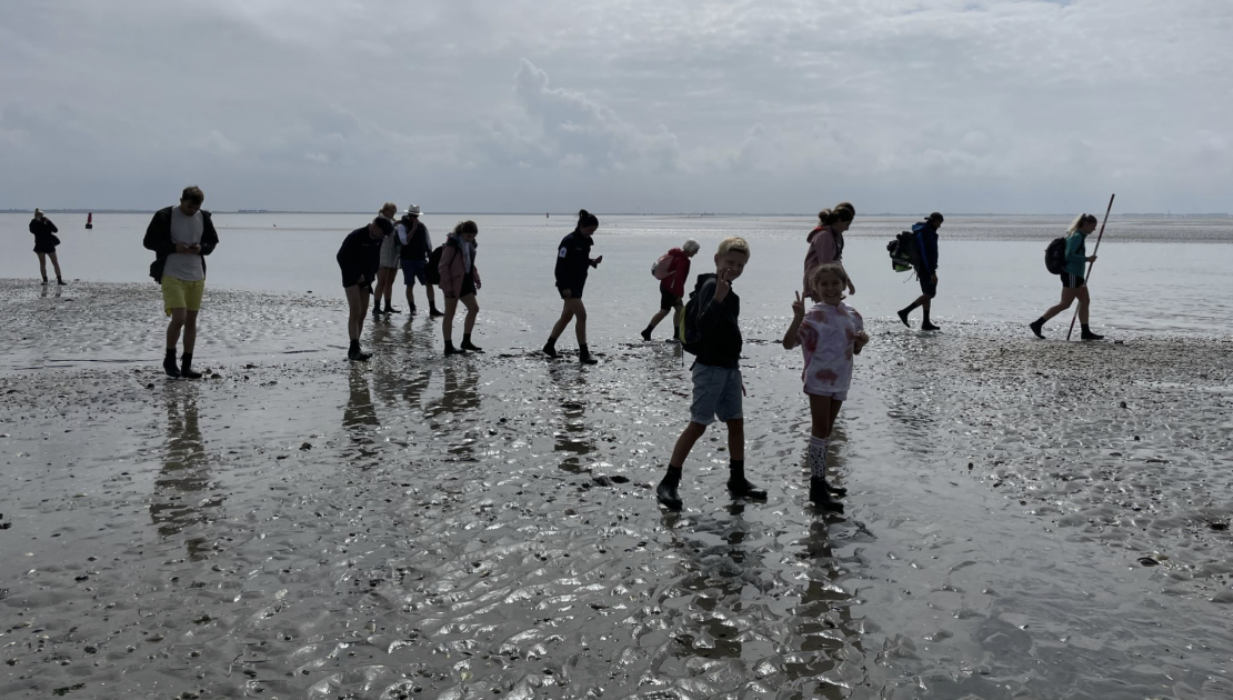 wadlopen en varen naar Schiermonnikoog