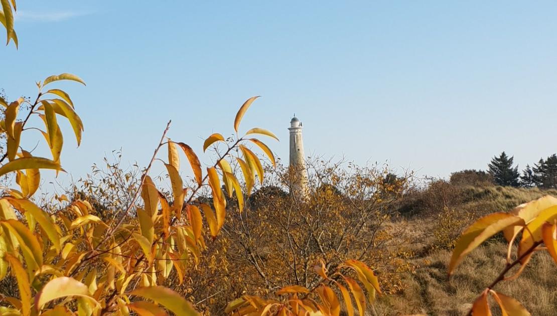 de watertoren van Schiermonnikoog in de herfst